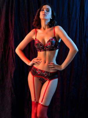 FANTEZİ TRANSPARAN SÜTYEN JARTİYER TAKIM SİYAH